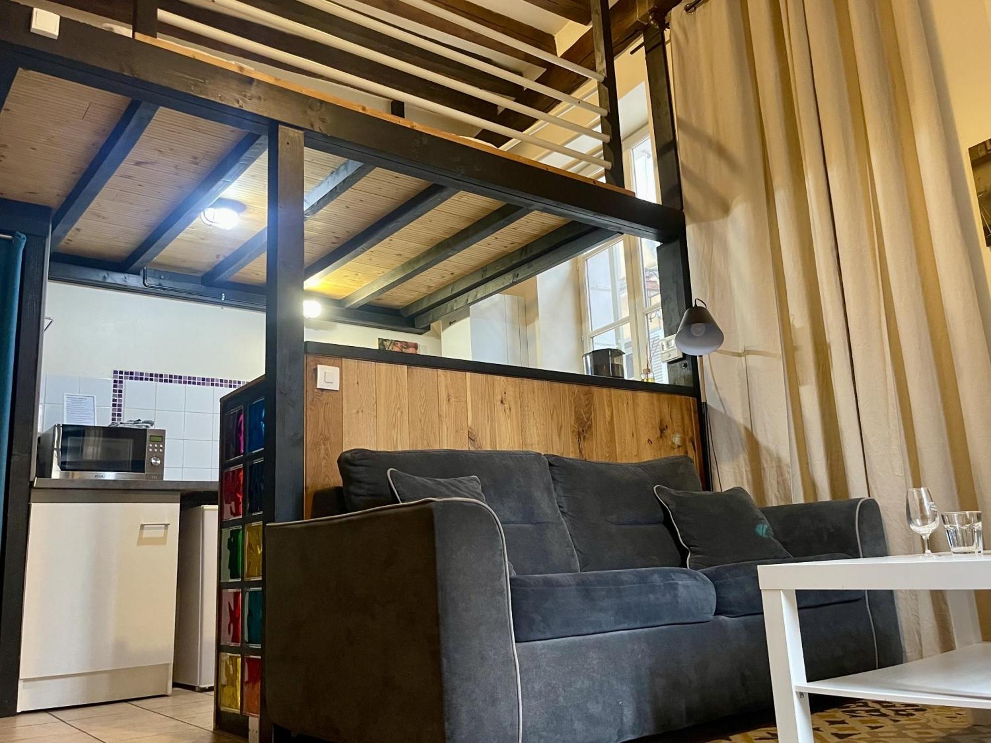 Appartement Le Cadet Roussel Auxerre Les Quais ภายนอก รูปภาพ